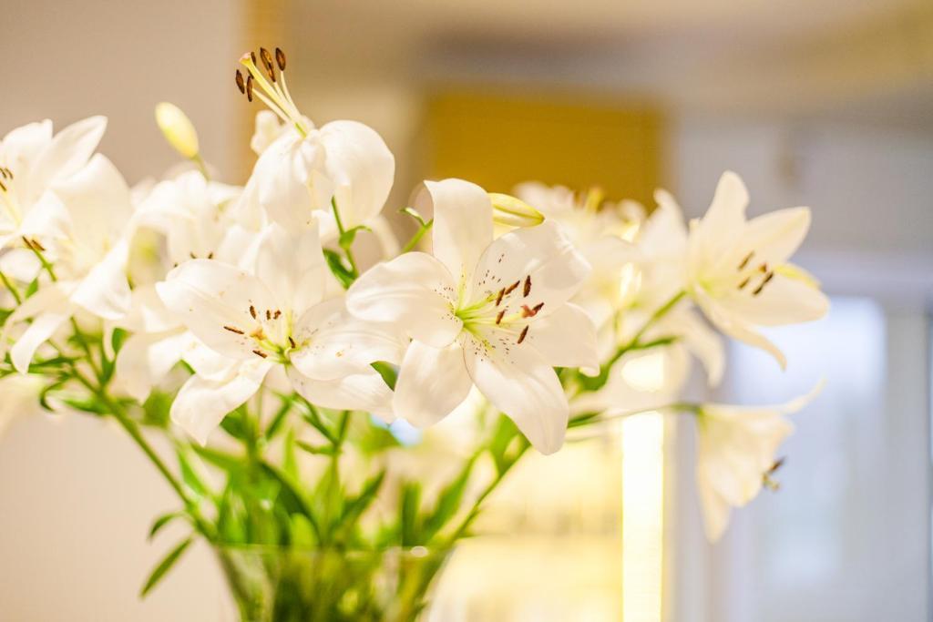 Hotel Court Wellness&Spa Kędzierzyn-Koźle Eksteriør billede